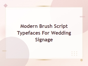 Modern Brush Script Typefaces Perfect for Wedding Signs